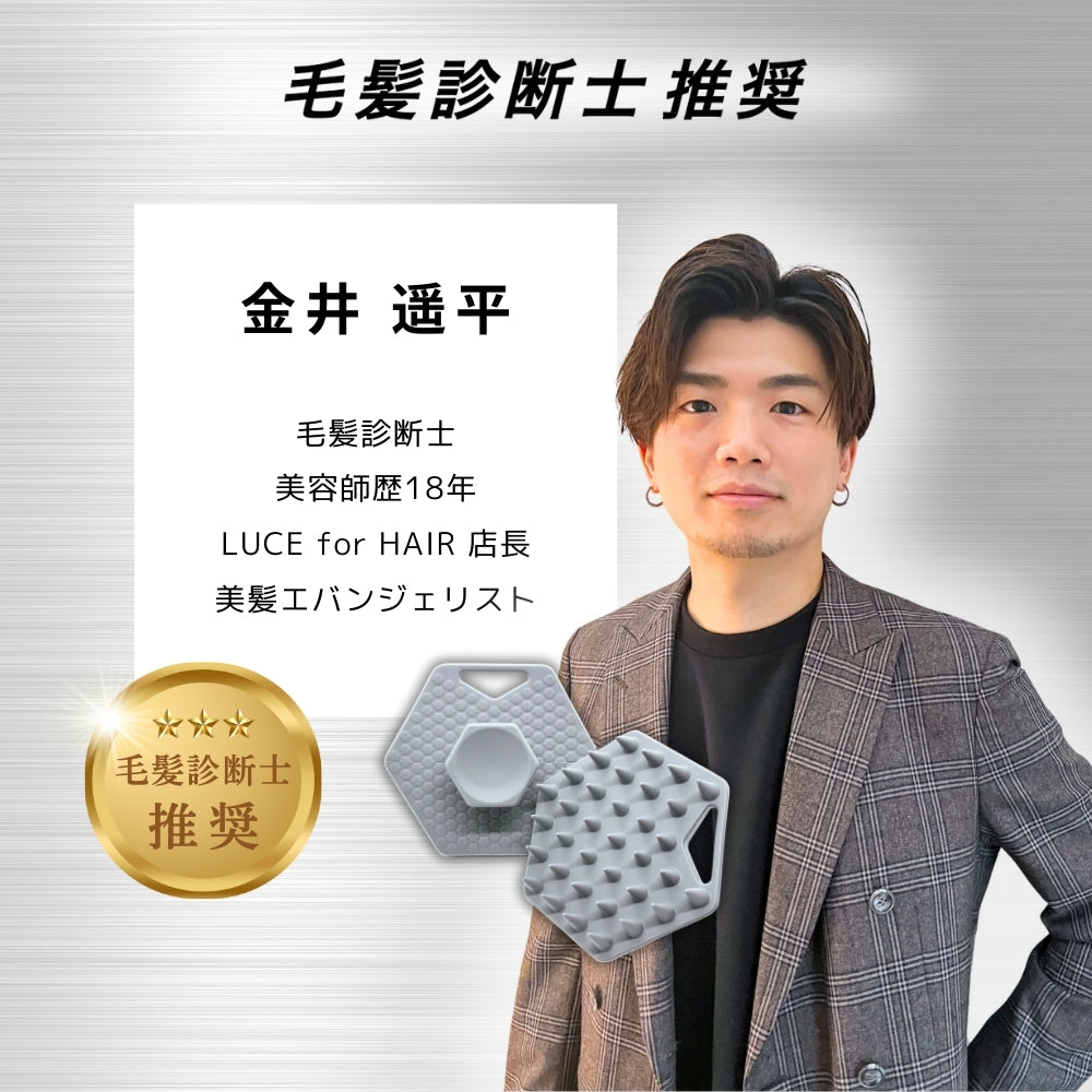 THE SCALP BRUSH SPA