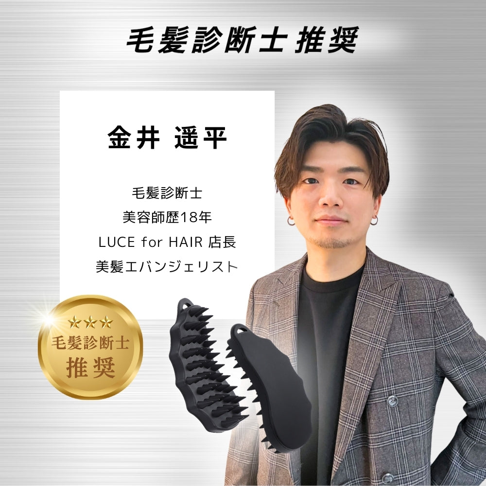 THE SCALP BRUSH ERGO